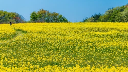 ２・３月のウィズあかし開催イベント