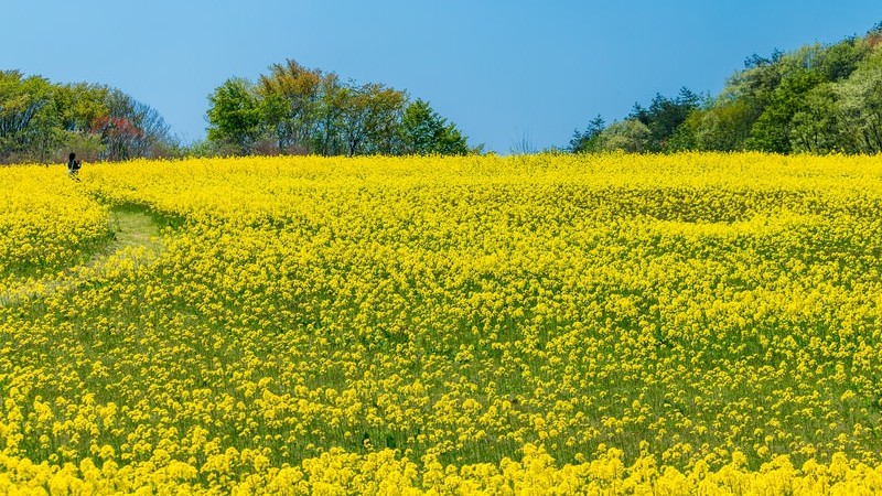 2・3月のウィズあかし開催イベント