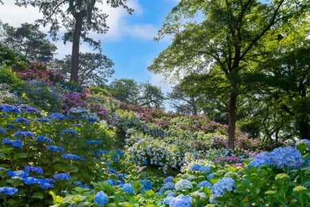 【4月・5月】ウィズあかし開催イベント