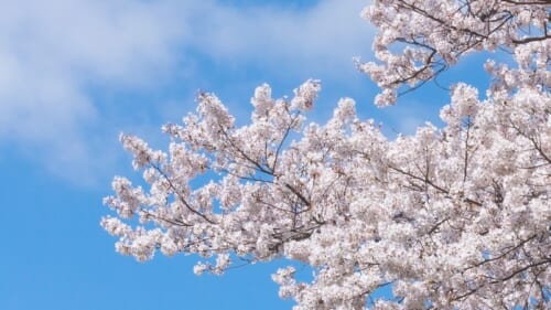 子どもと一緒にワクワク！特集